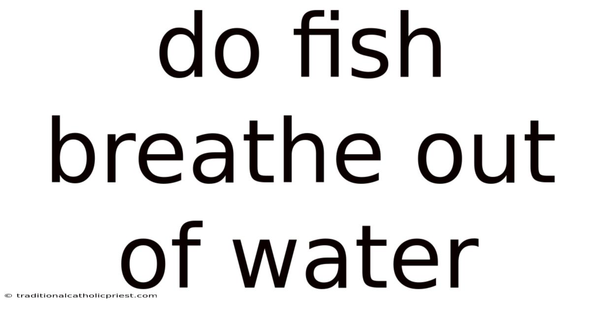 Do Fish Breathe Out Of Water