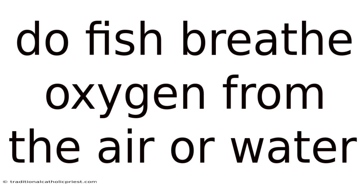 Do Fish Breathe Oxygen From The Air Or Water