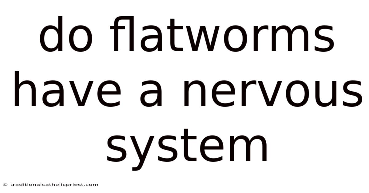 Do Flatworms Have A Nervous System