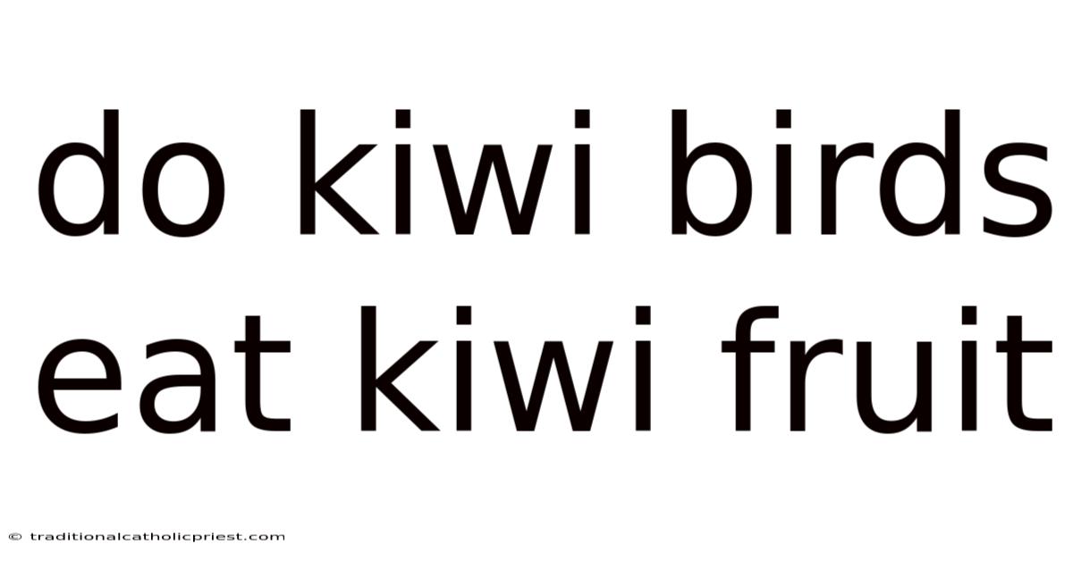 Do Kiwi Birds Eat Kiwi Fruit