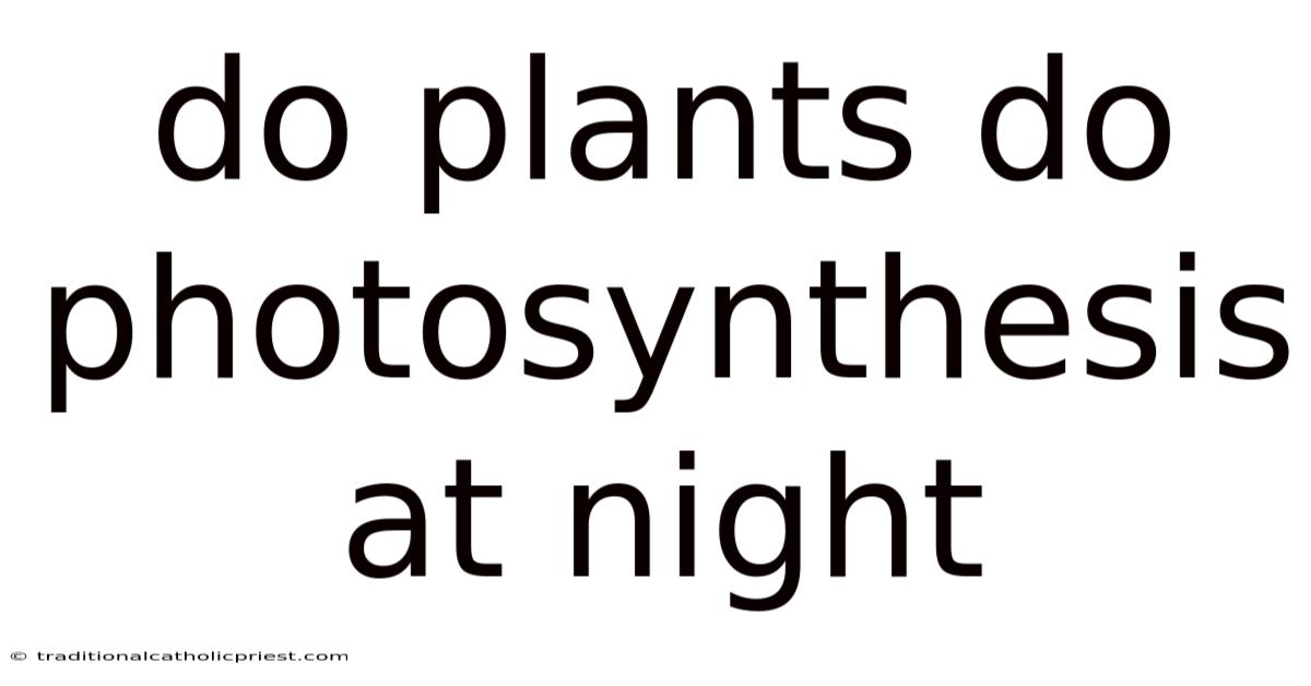 Do Plants Do Photosynthesis At Night