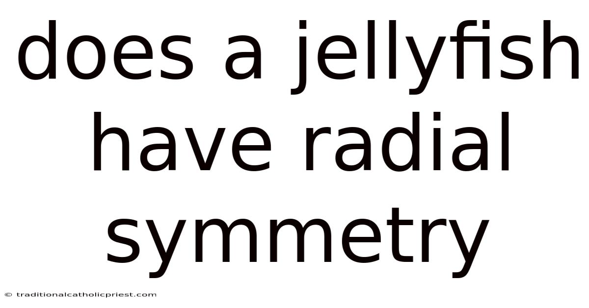 Does A Jellyfish Have Radial Symmetry