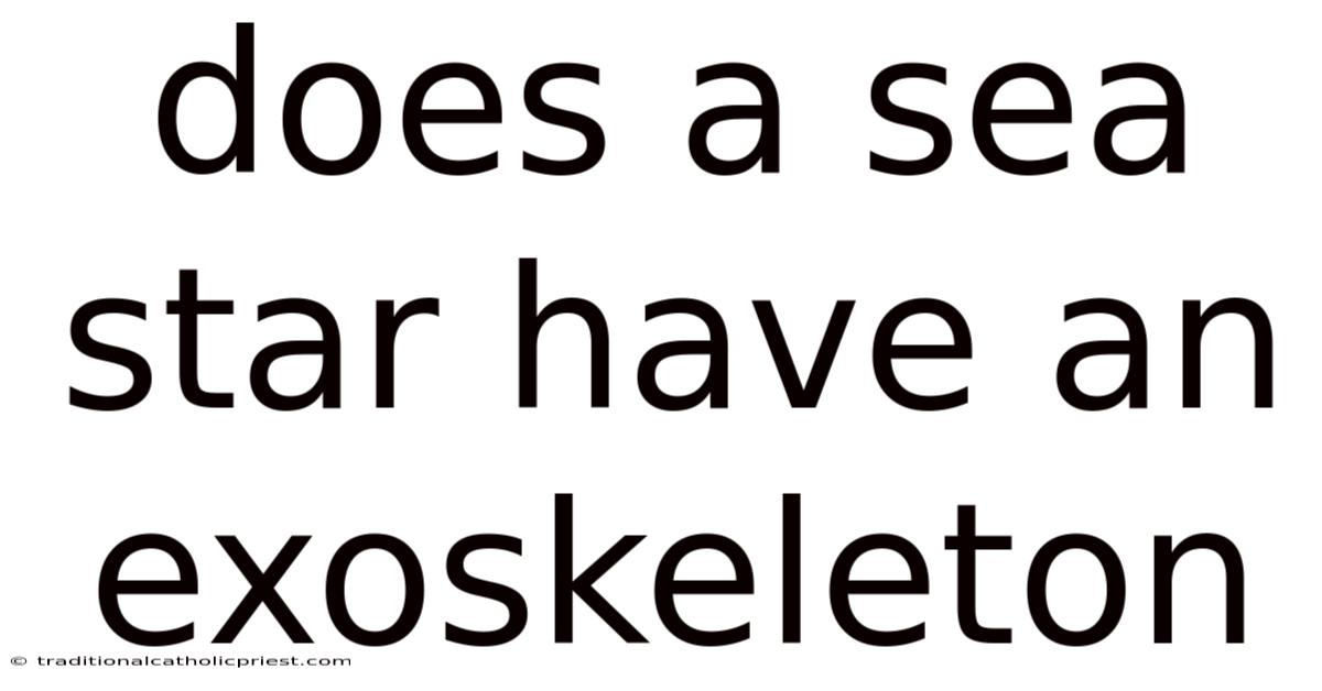 Does A Sea Star Have An Exoskeleton