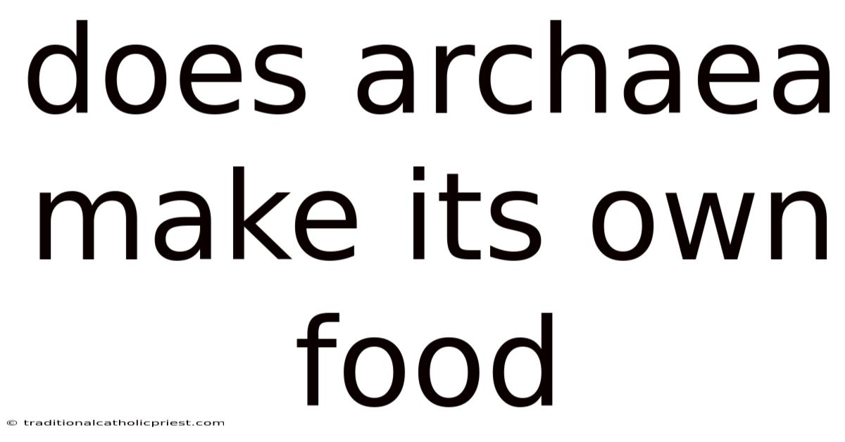 Does Archaea Make Its Own Food