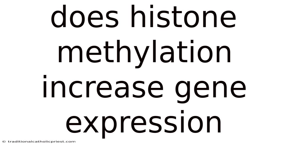 Does Histone Methylation Increase Gene Expression