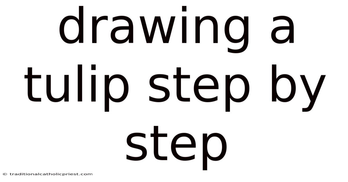 Drawing A Tulip Step By Step