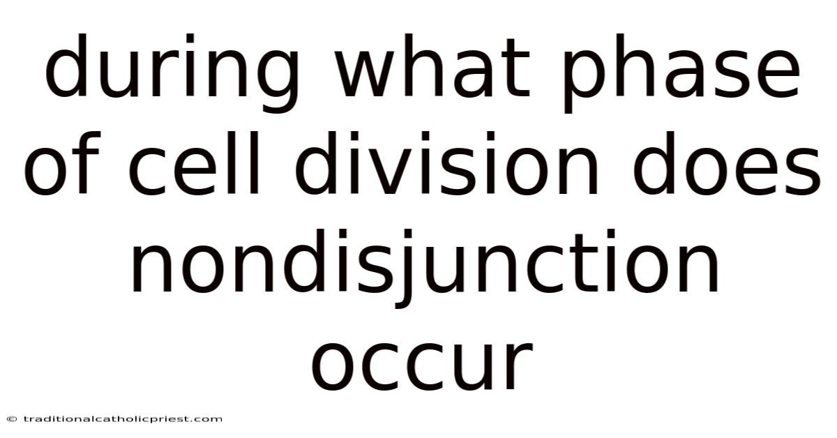 During What Phase Of Cell Division Does Nondisjunction Occur