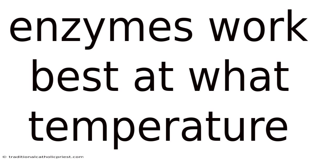 Enzymes Work Best At What Temperature