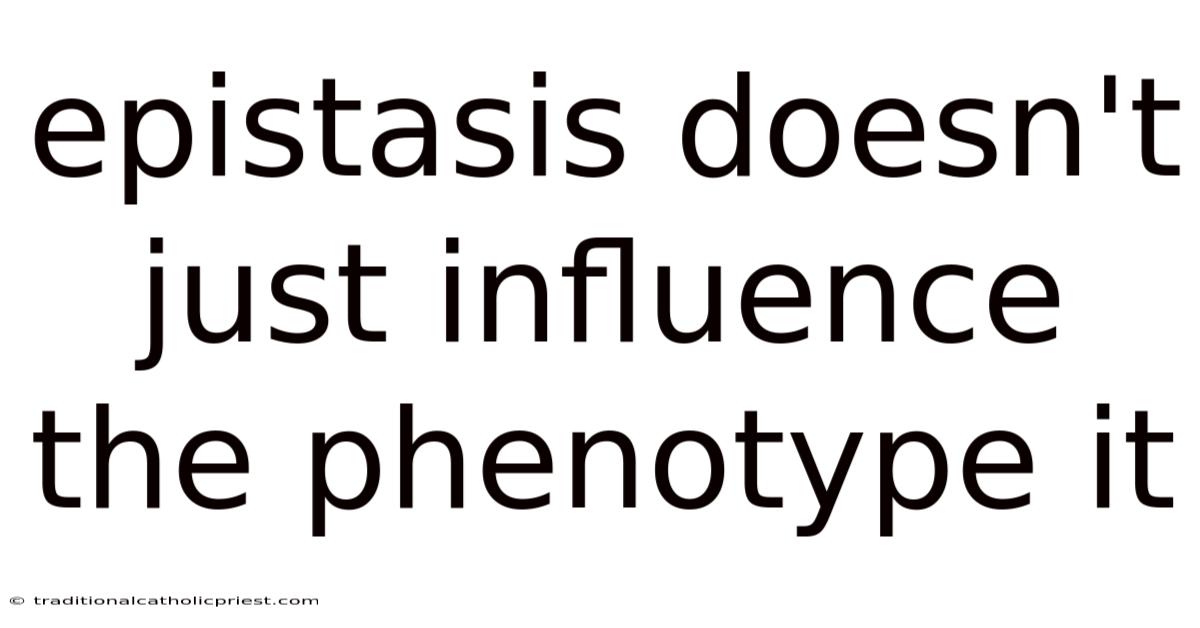 Epistasis Doesn't Just Influence The Phenotype It