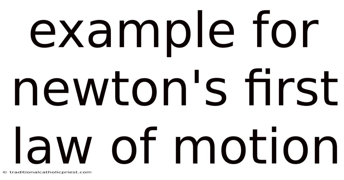 Example For Newton's First Law Of Motion