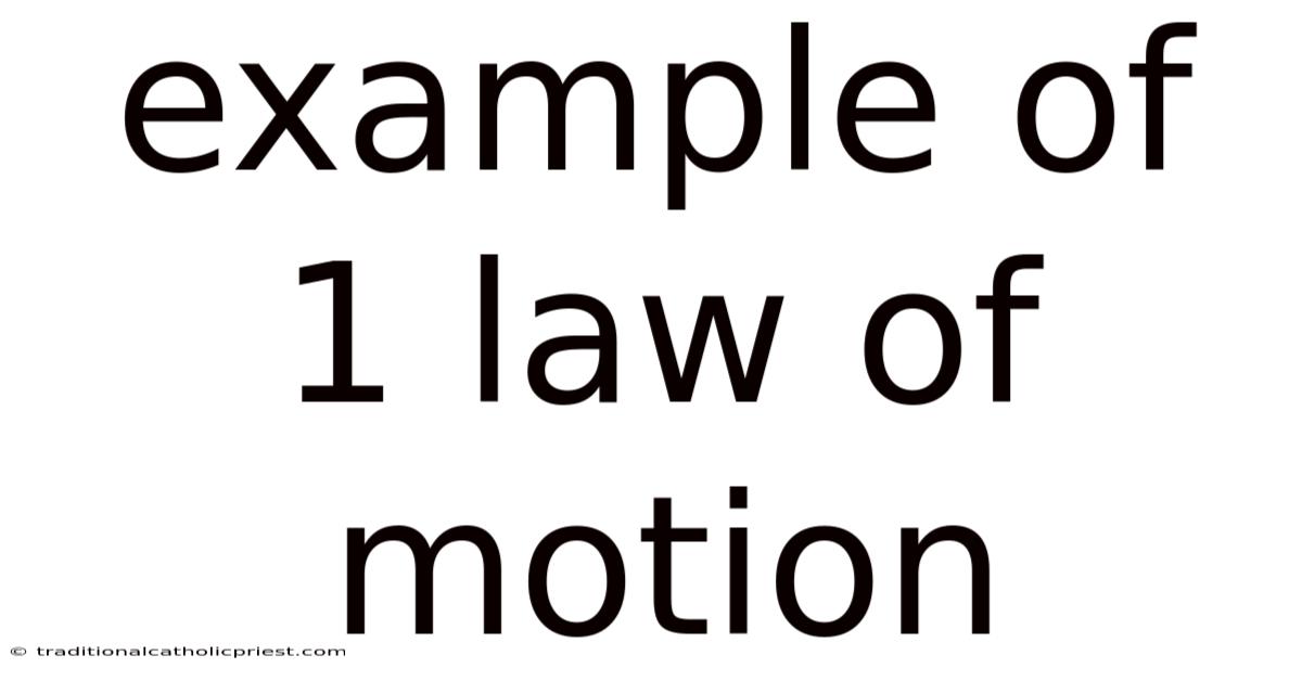Example Of 1 Law Of Motion