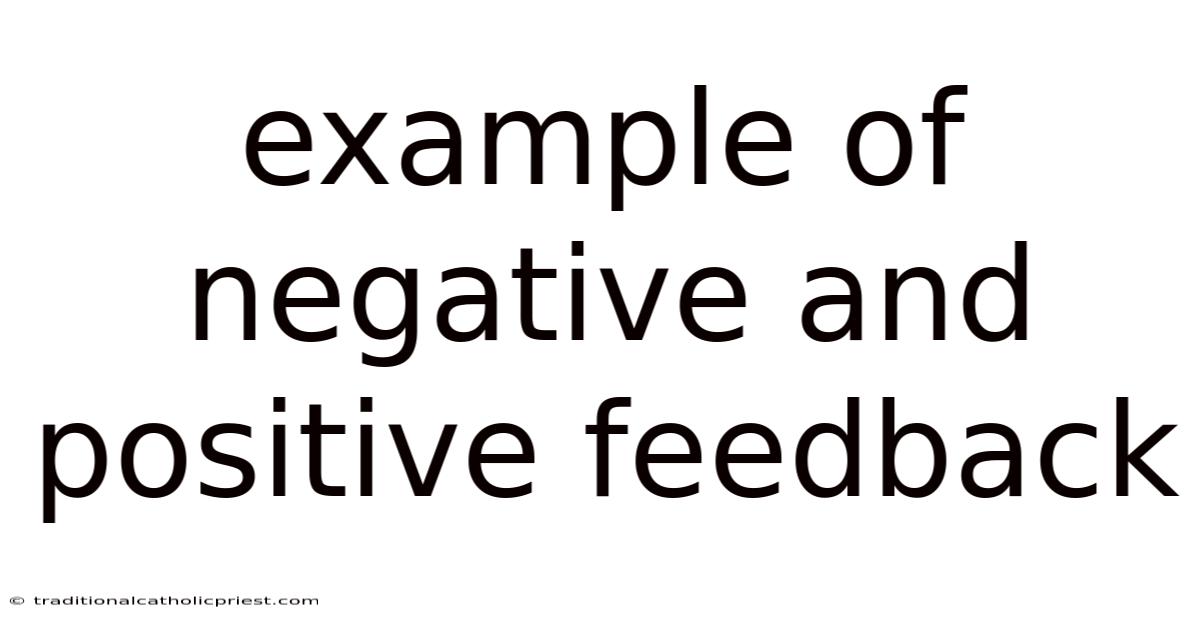 Example Of Negative And Positive Feedback