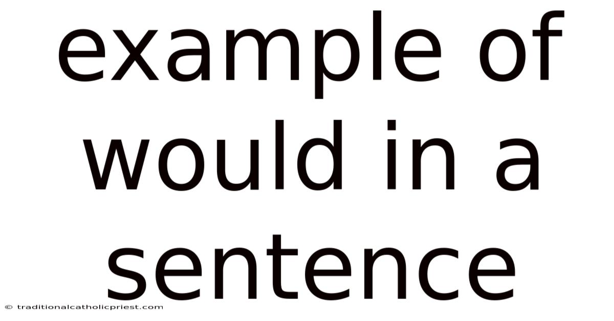 Example Of Would In A Sentence