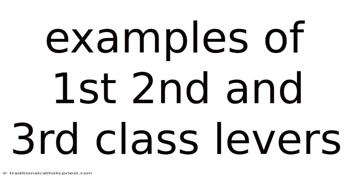 Examples Of 1st 2nd And 3rd Class Levers
