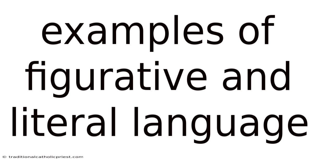 Examples Of Figurative And Literal Language
