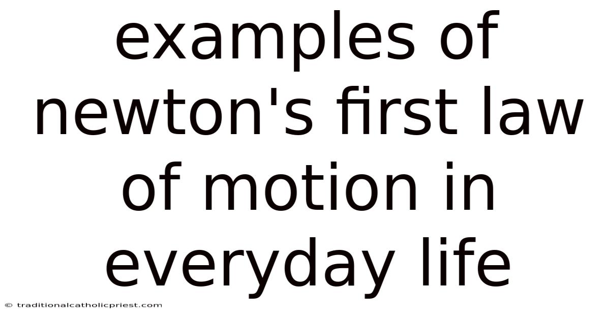Examples Of Newton's First Law Of Motion In Everyday Life