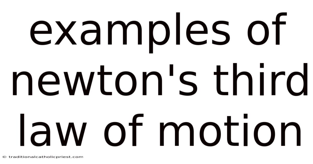 Examples Of Newton's Third Law Of Motion