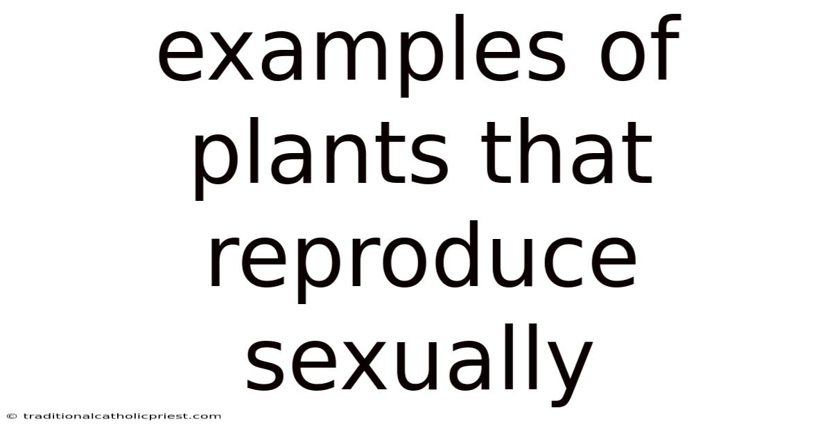 Examples Of Plants That Reproduce Sexually