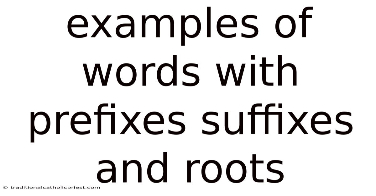 Examples Of Words With Prefixes Suffixes And Roots