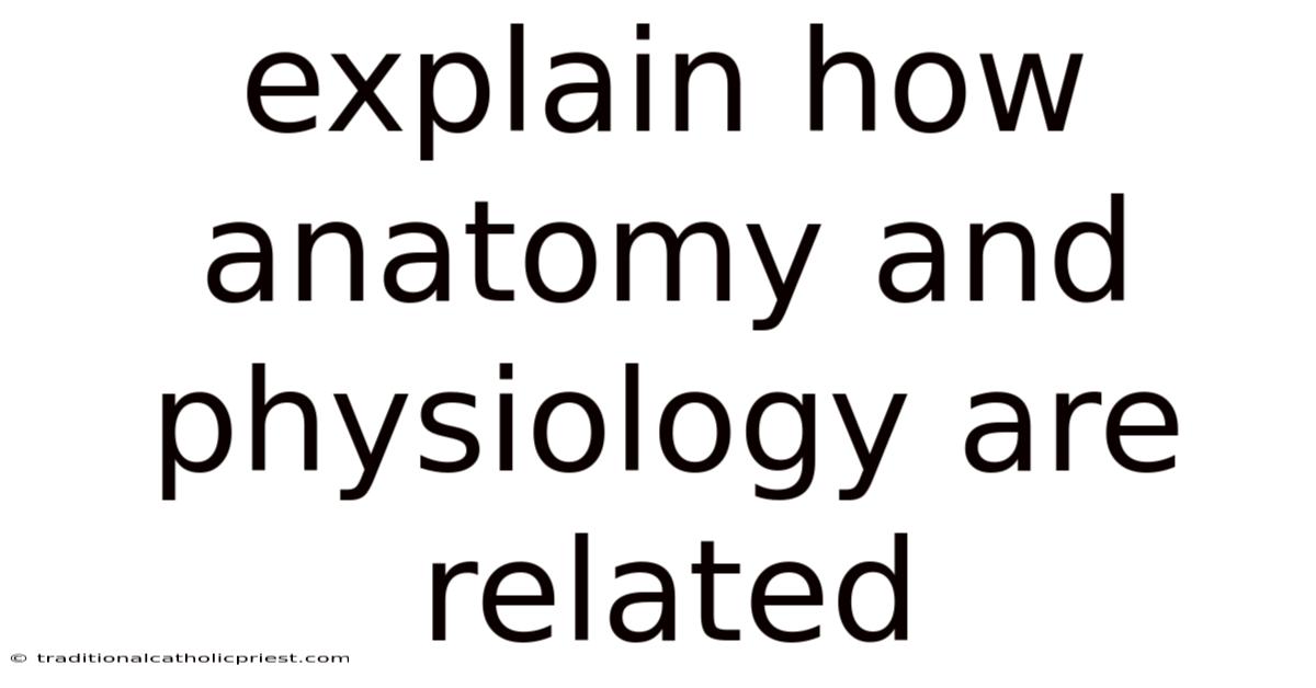 Explain How Anatomy And Physiology Are Related