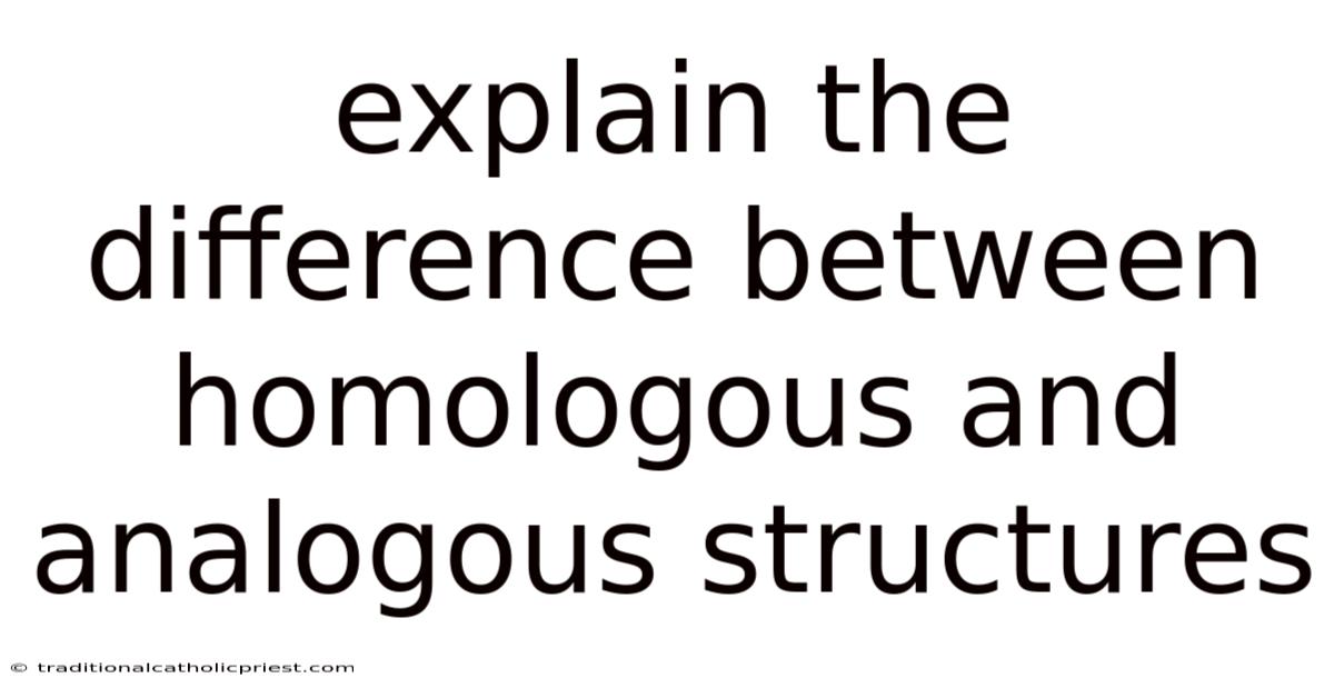 Explain The Difference Between Homologous And Analogous Structures