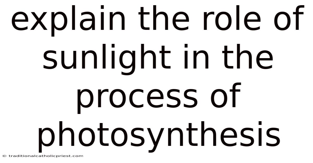 Explain The Role Of Sunlight In The Process Of Photosynthesis