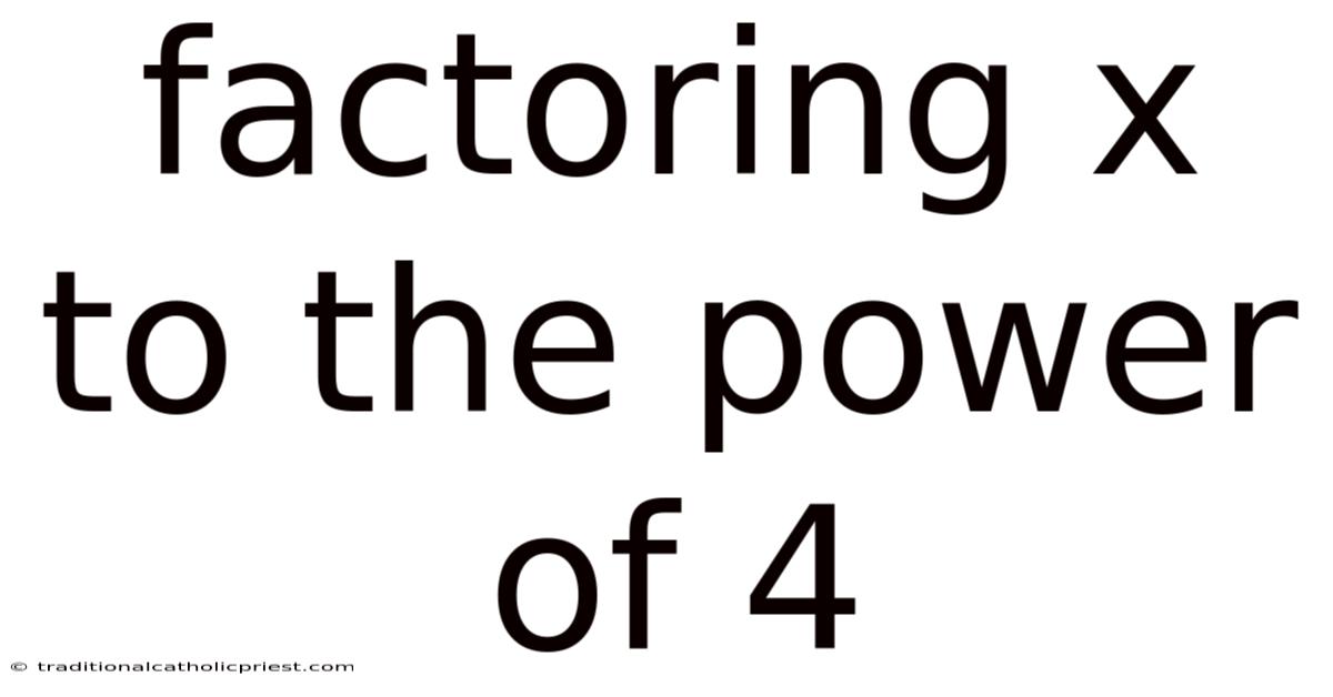 Factoring X To The Power Of 4