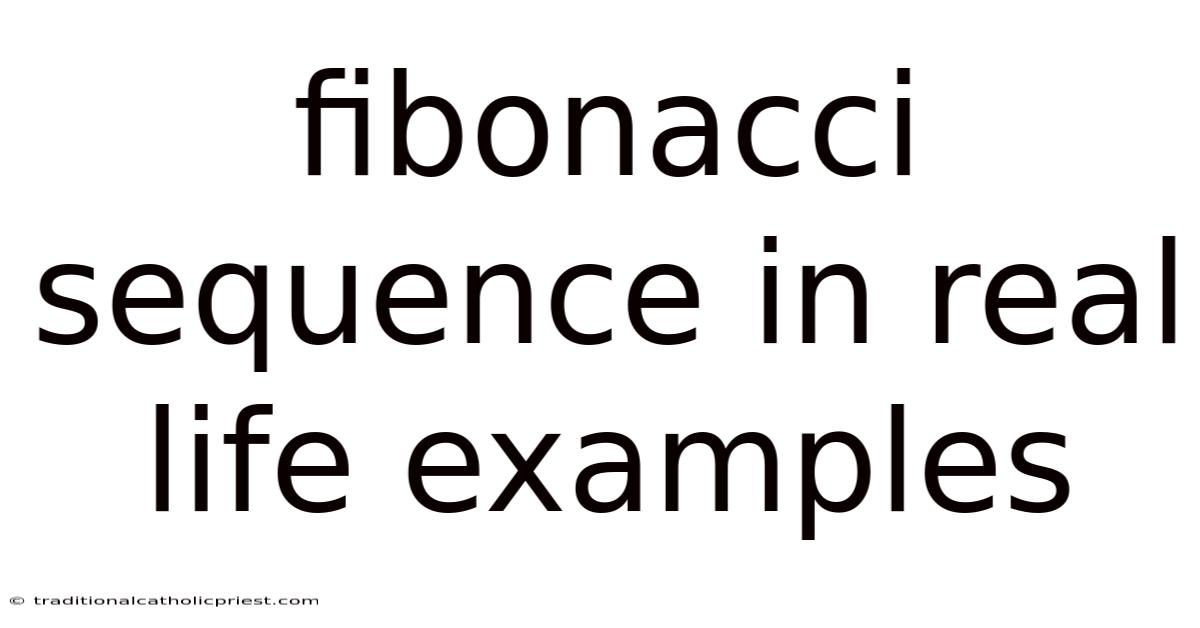 Fibonacci Sequence In Real Life Examples