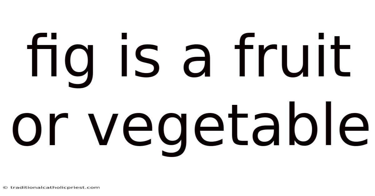 Fig Is A Fruit Or Vegetable