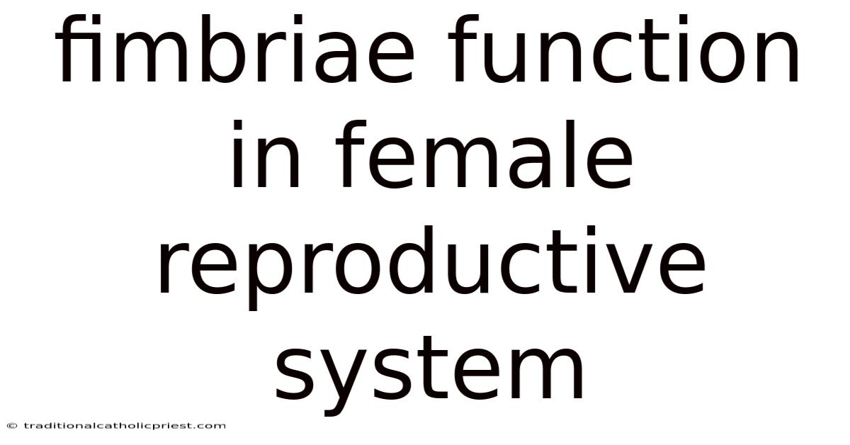 Fimbriae Function In Female Reproductive System