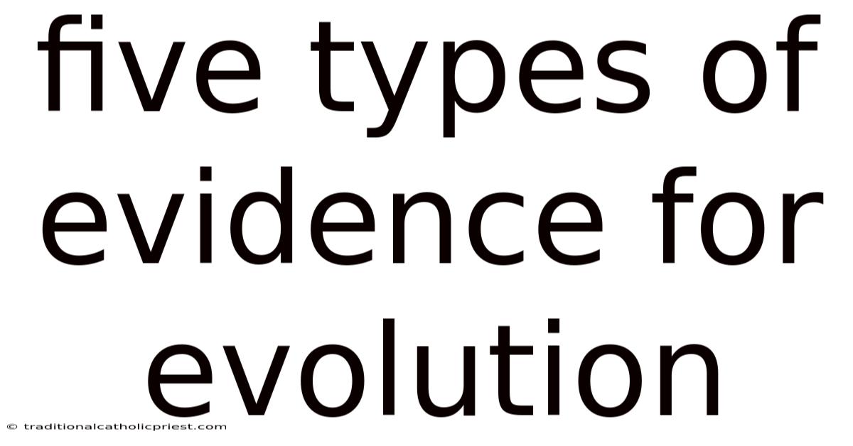 Five Types Of Evidence For Evolution