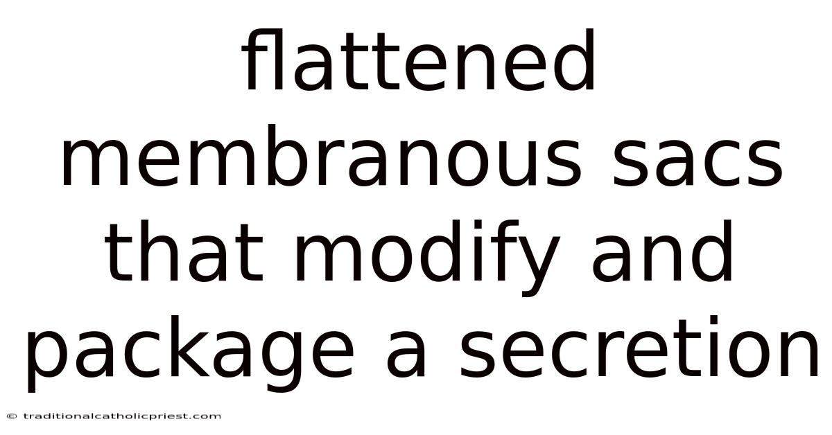 Flattened Membranous Sacs That Modify And Package A Secretion