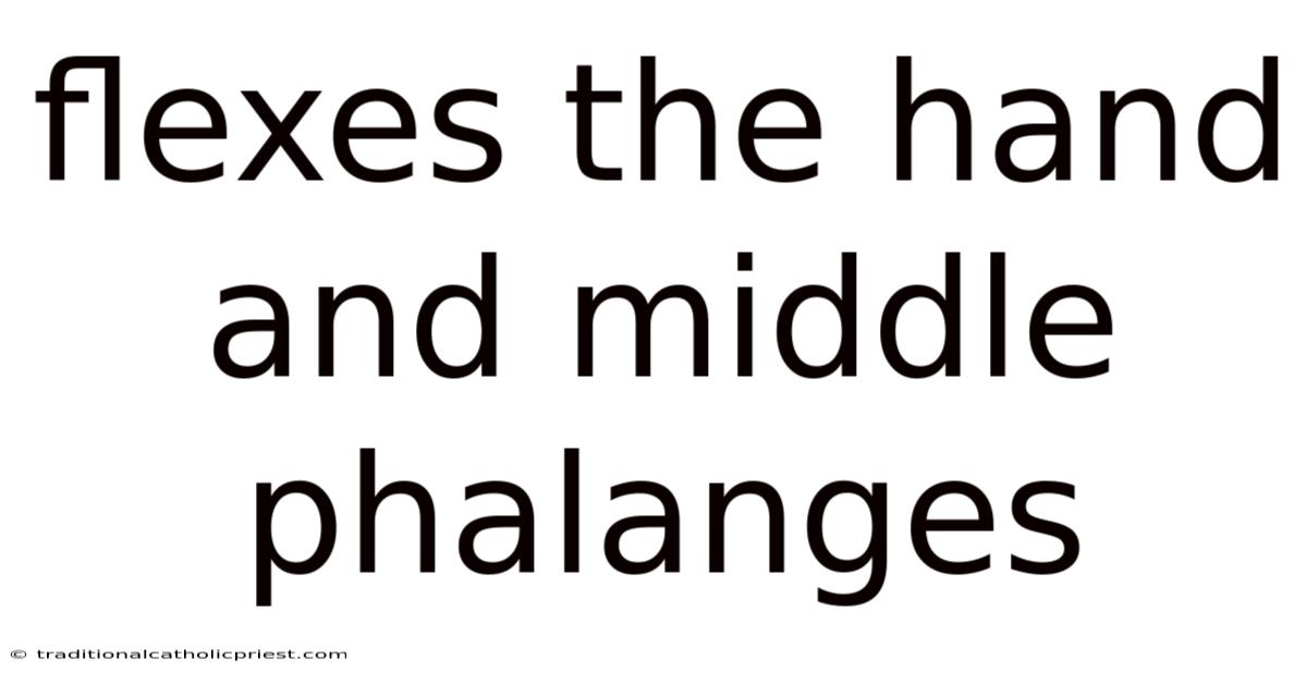 Flexes The Hand And Middle Phalanges