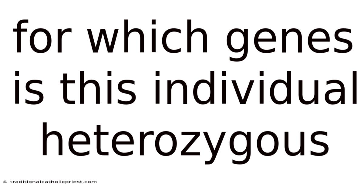For Which Genes Is This Individual Heterozygous