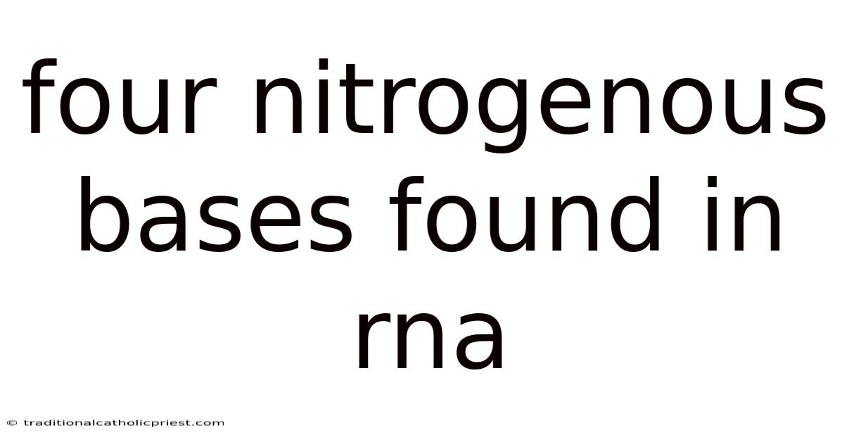 Four Nitrogenous Bases Found In Rna