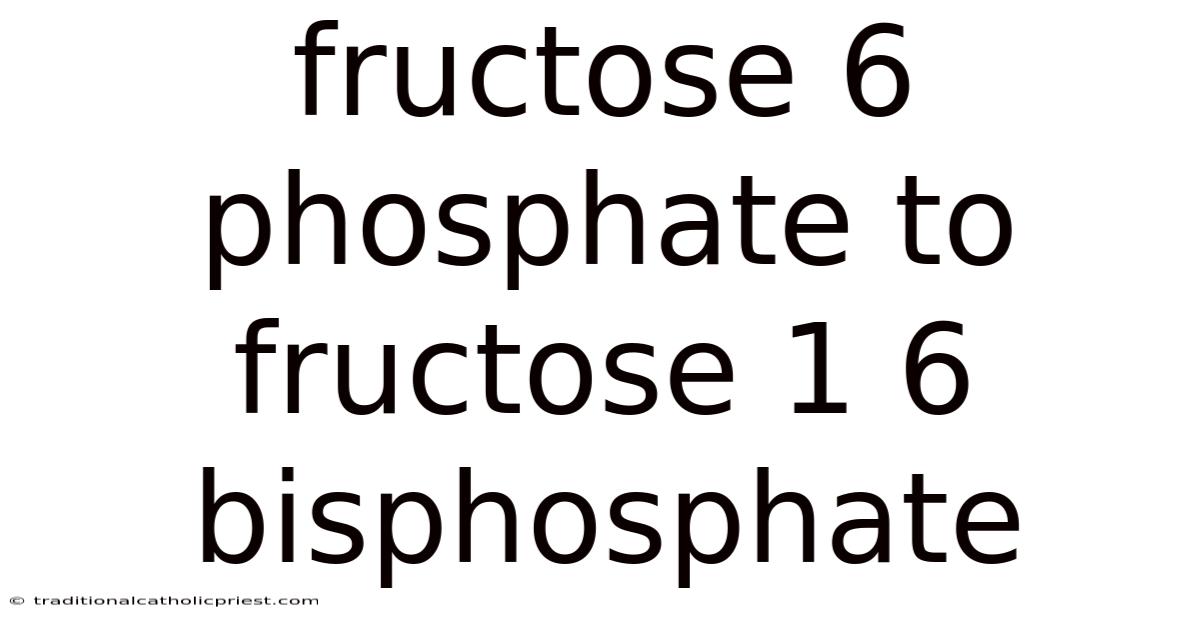 Fructose 6 Phosphate To Fructose 1 6 Bisphosphate