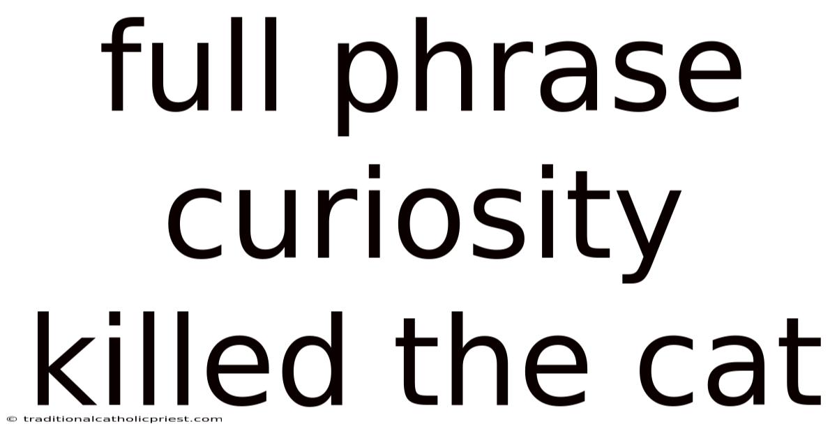 Full Phrase Curiosity Killed The Cat