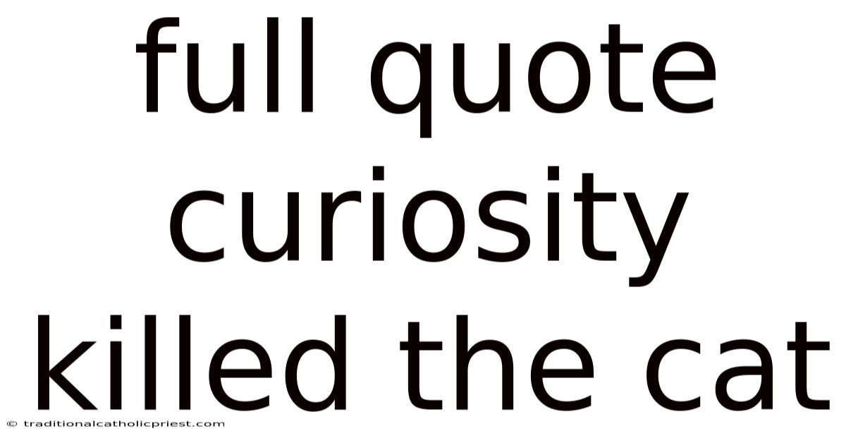 Full Quote Curiosity Killed The Cat