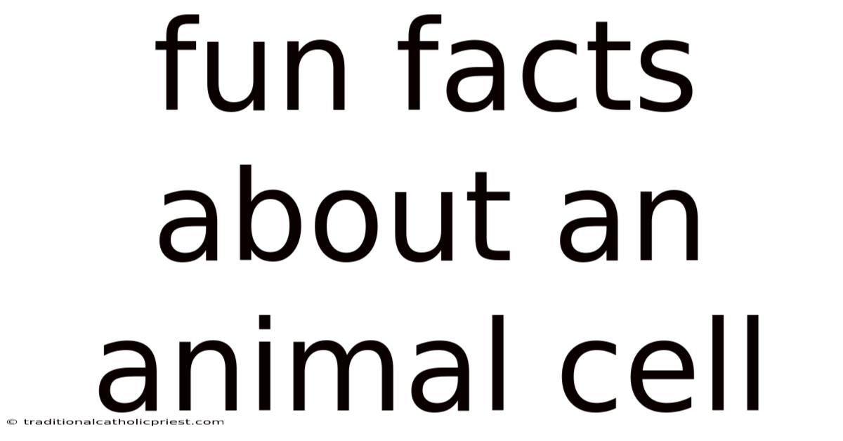 Fun Facts About An Animal Cell