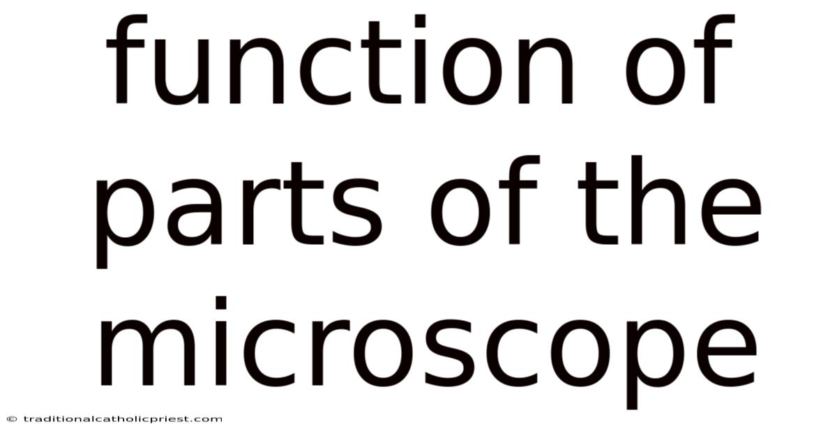 Function Of Parts Of The Microscope