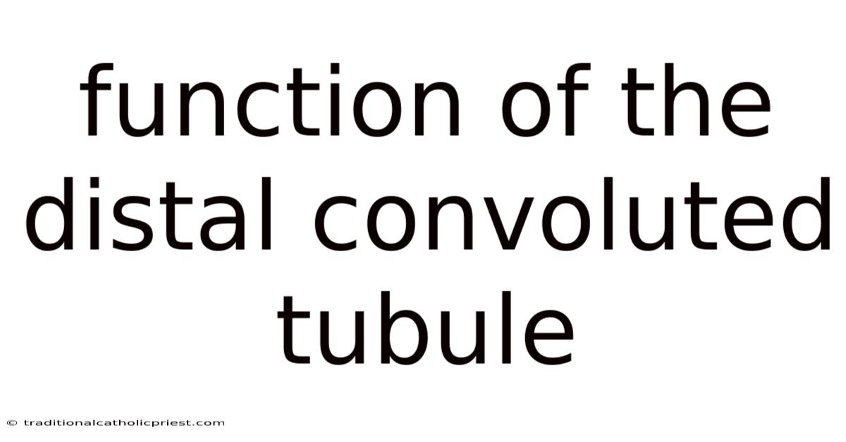 Function Of The Distal Convoluted Tubule