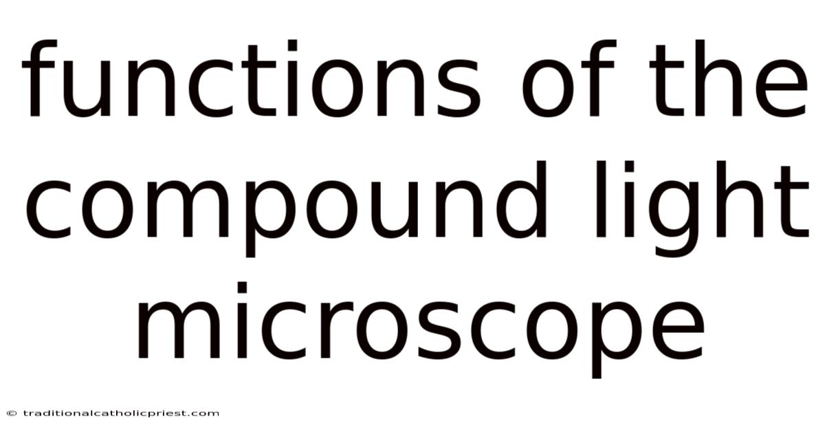 Functions Of The Compound Light Microscope