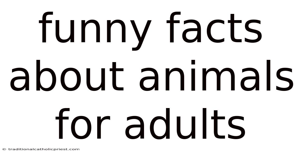 Funny Facts About Animals For Adults