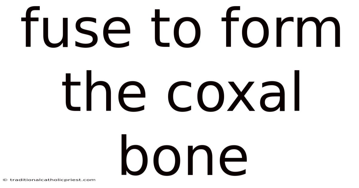 Fuse To Form The Coxal Bone