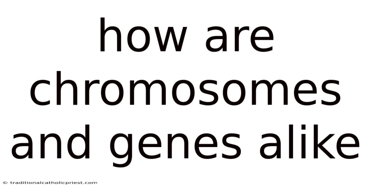 How Are Chromosomes And Genes Alike