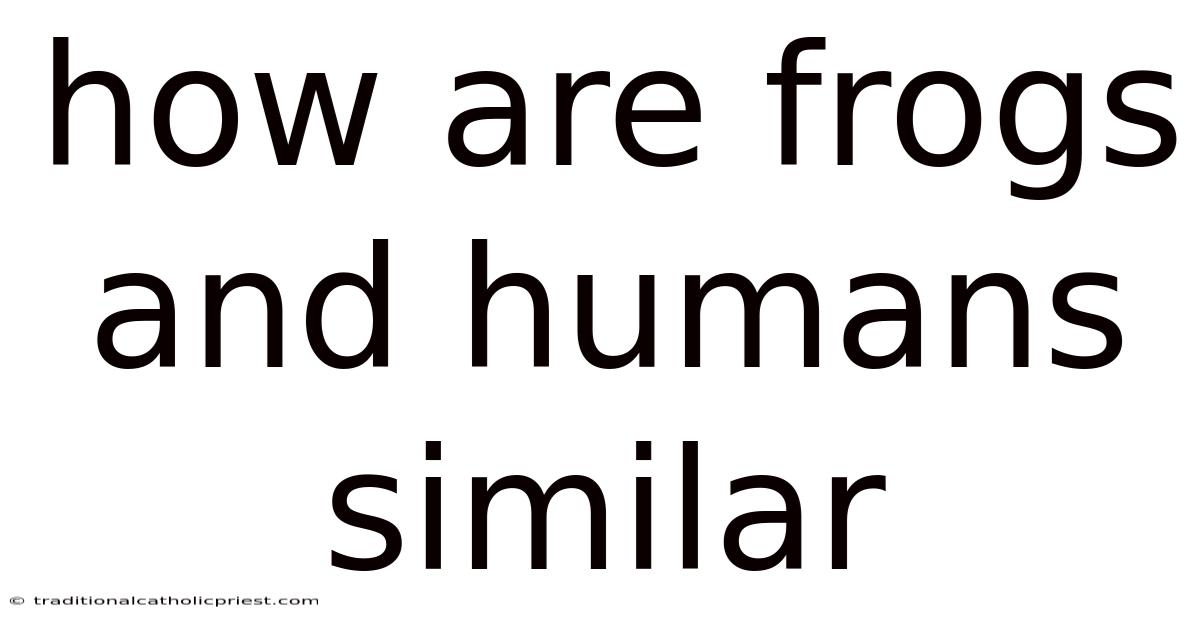 How Are Frogs And Humans Similar