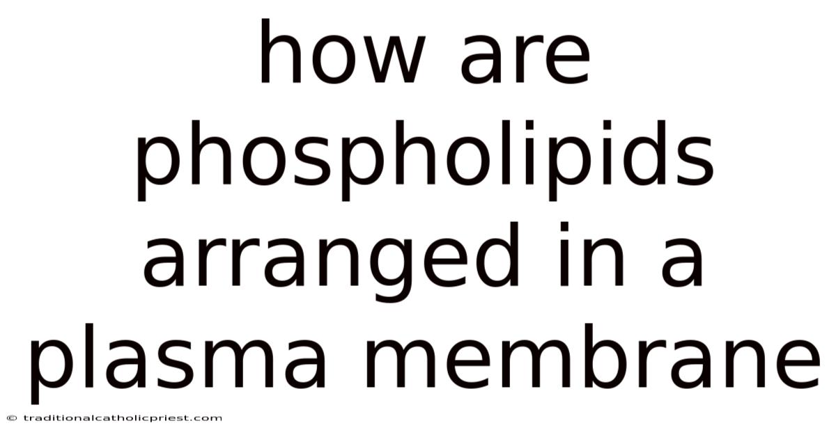 How Are Phospholipids Arranged In A Plasma Membrane