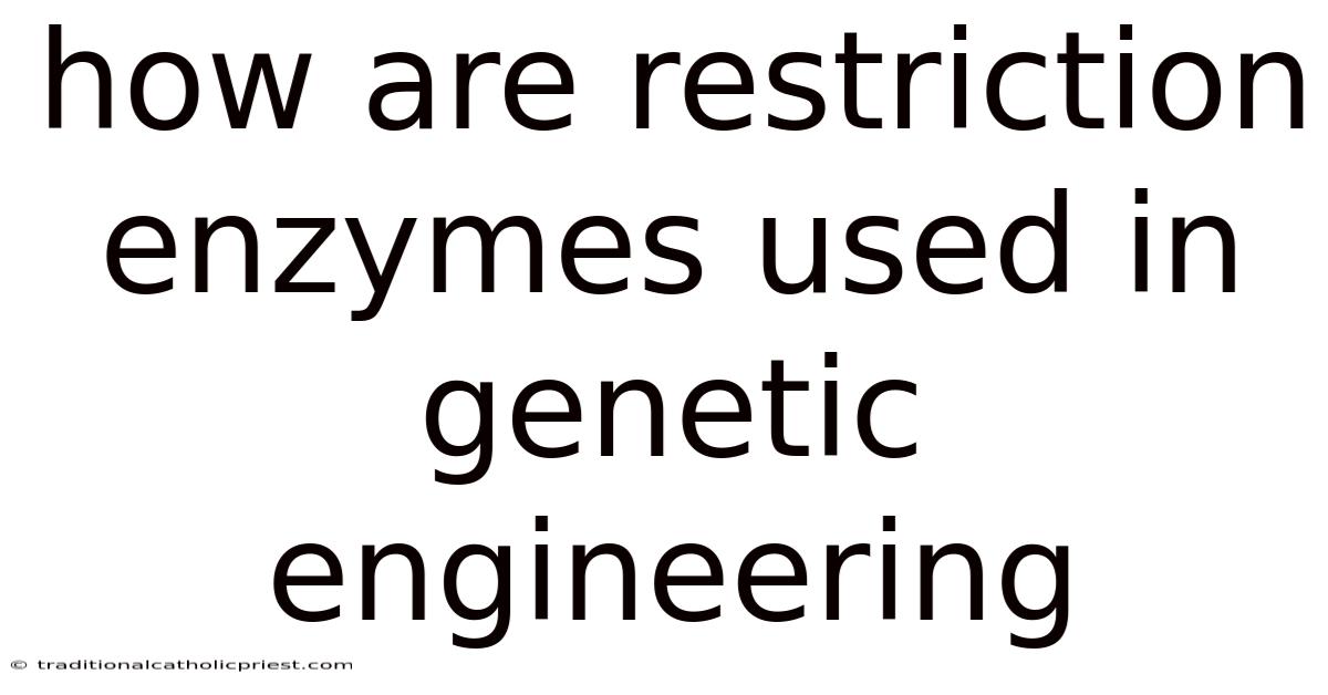How Are Restriction Enzymes Used In Genetic Engineering