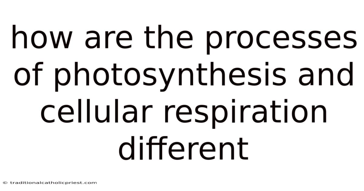 How Are The Processes Of Photosynthesis And Cellular Respiration Different