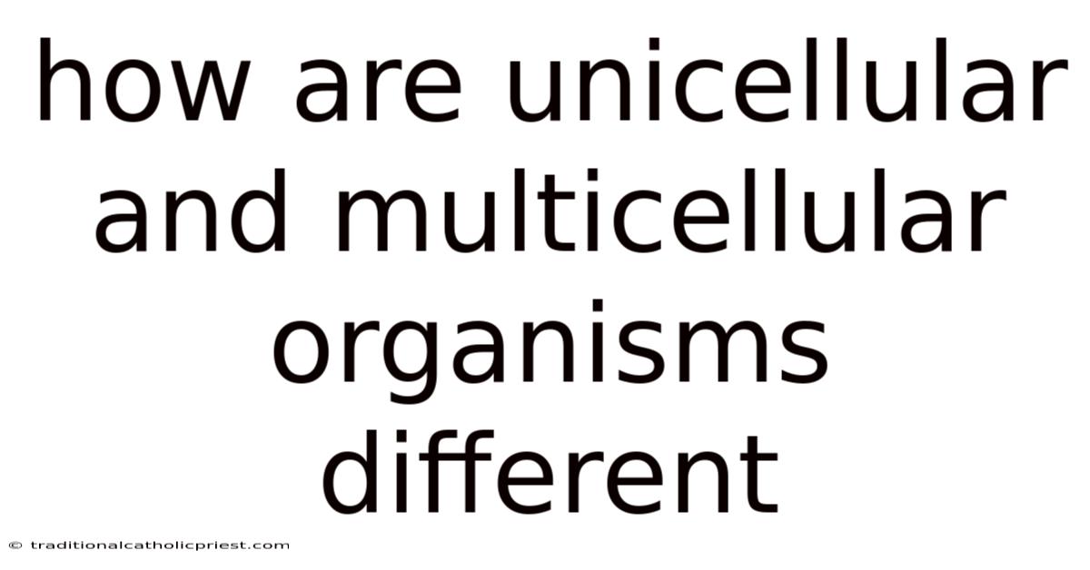 How Are Unicellular And Multicellular Organisms Different